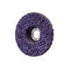 Parkside Cleaning Disc-1