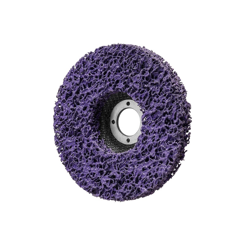 Parkside Cleaning Disc-1