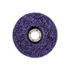 Parkside Cleaning Disc