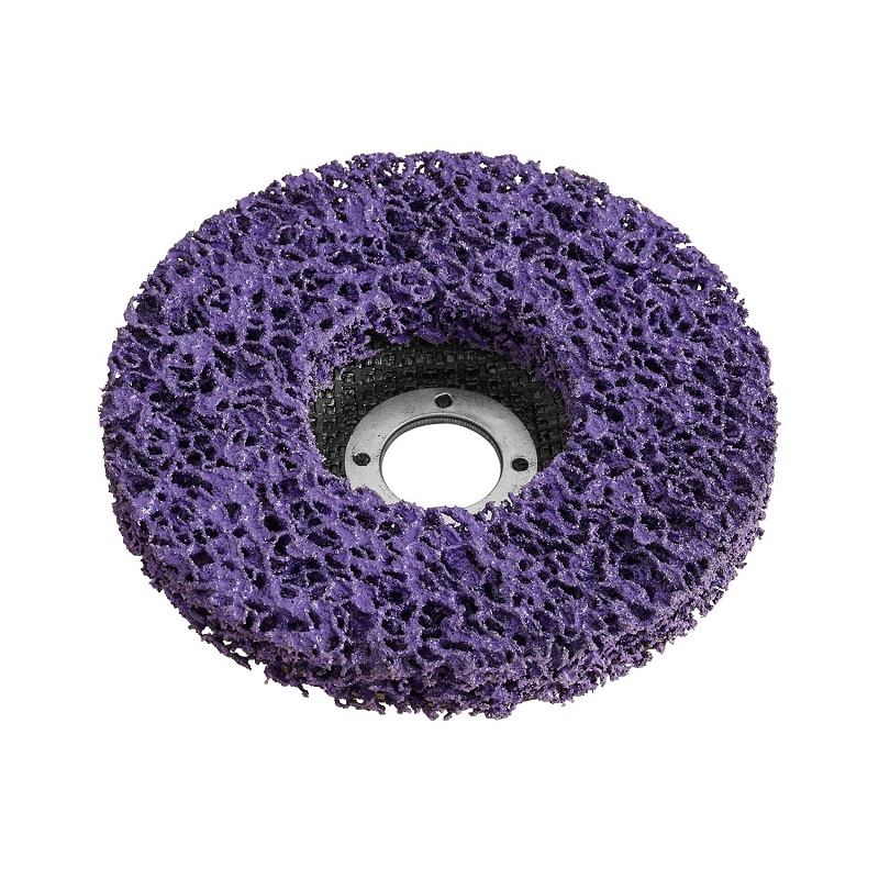 Parkside Cleaning Disc-2