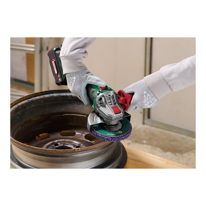 Parkside Cleaning Disc-3