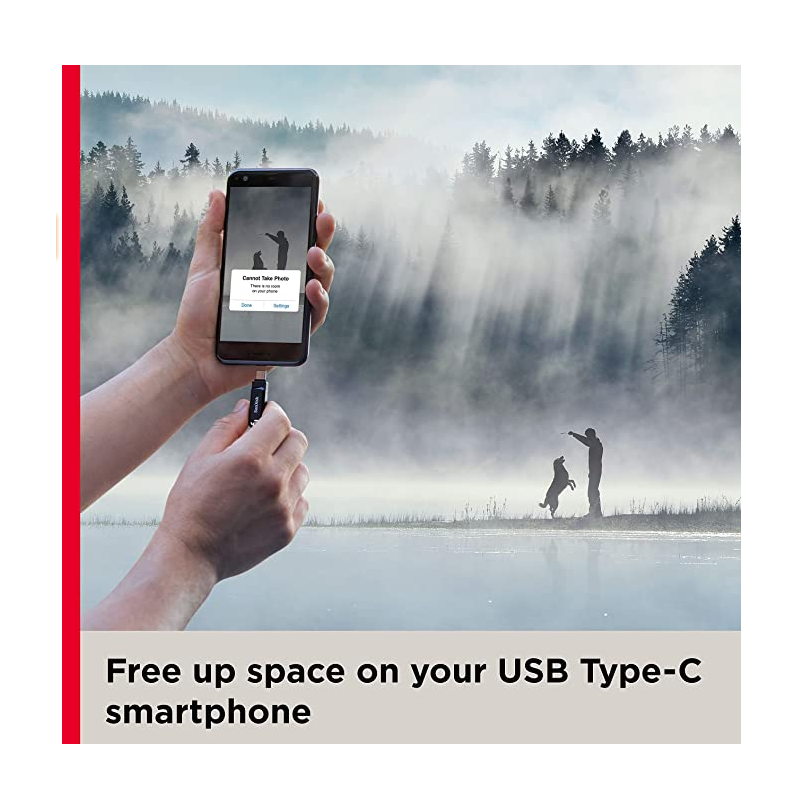 SanDisk- 64Gb